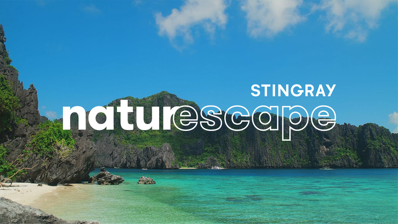 Stingray Naturescape